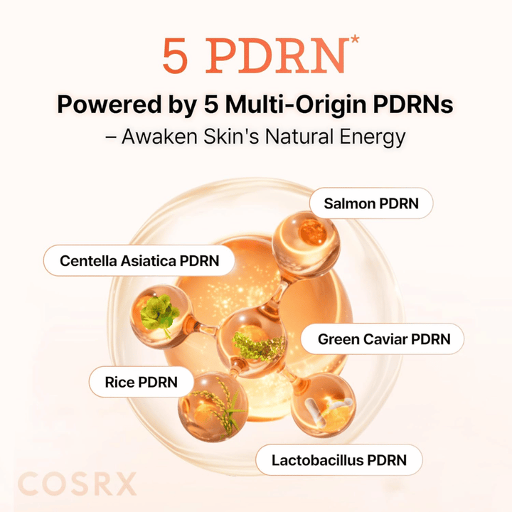 COSRX 5 PDRN Serum mit Multi-Origin-PDRN aus Lachs, Centella Asiatica, Reis und Probiotika, das die Haut stärkt und die Elastizität verbessert