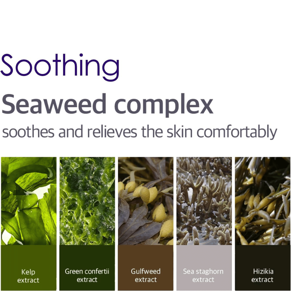 Informationsbild über den Seaweed Complex mit verschiedenen Algen und marinen Extrakten, die helfen, die Haut rund um die Augen zu beruhigen, zu kühlen und ihr Komfort zu verleihen.