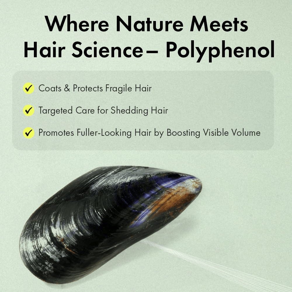 Illustration der Polyphenol-Technologie aus Muscheln, die dabei hilft, empfindliches Haar zu schützen, volleres Volumen zu verleihen und Haar zu pflegen, das als dünn oder leblos empfunden wird.