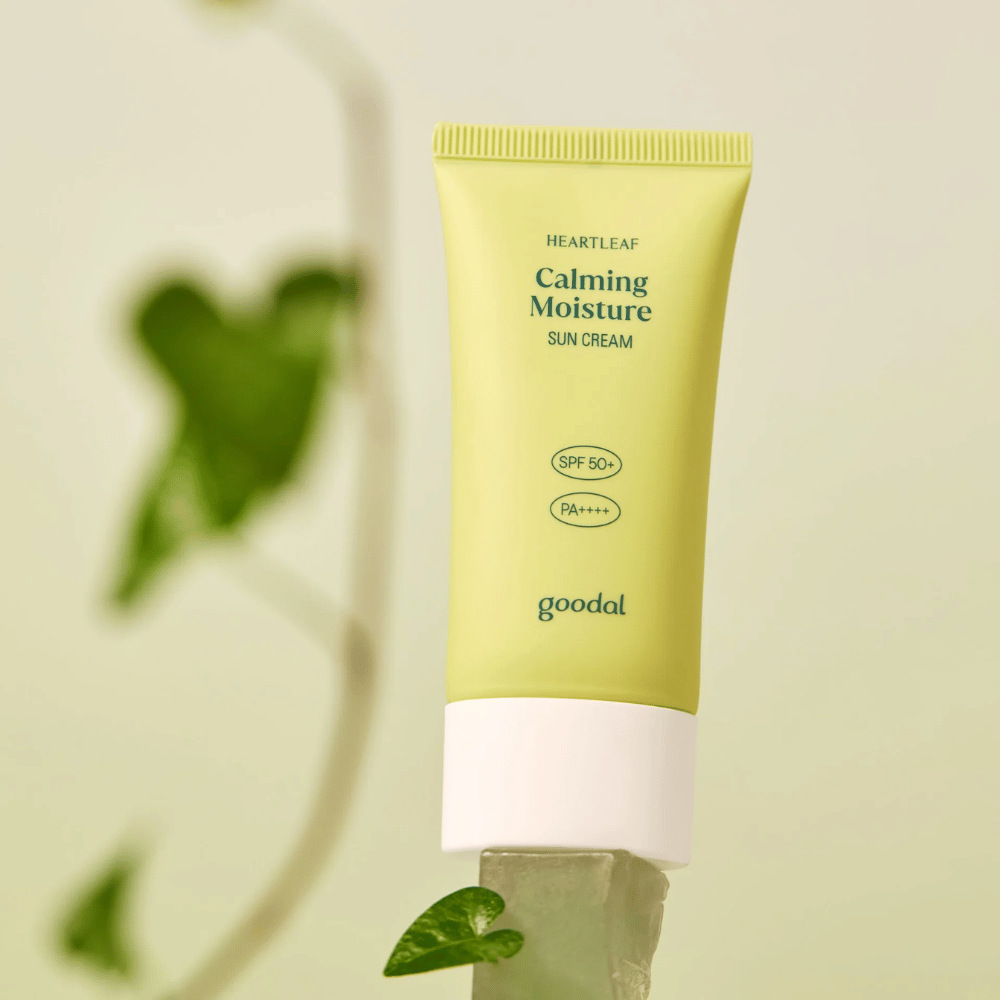 Goodal Heartleaf Calming Moisture Sun Cream SPF50+ PA++++ auf einer Glasplatte mit grüner Pflanze im Hintergrund platziert – eine beruhigende Sonnencreme für empfindliche Haut.