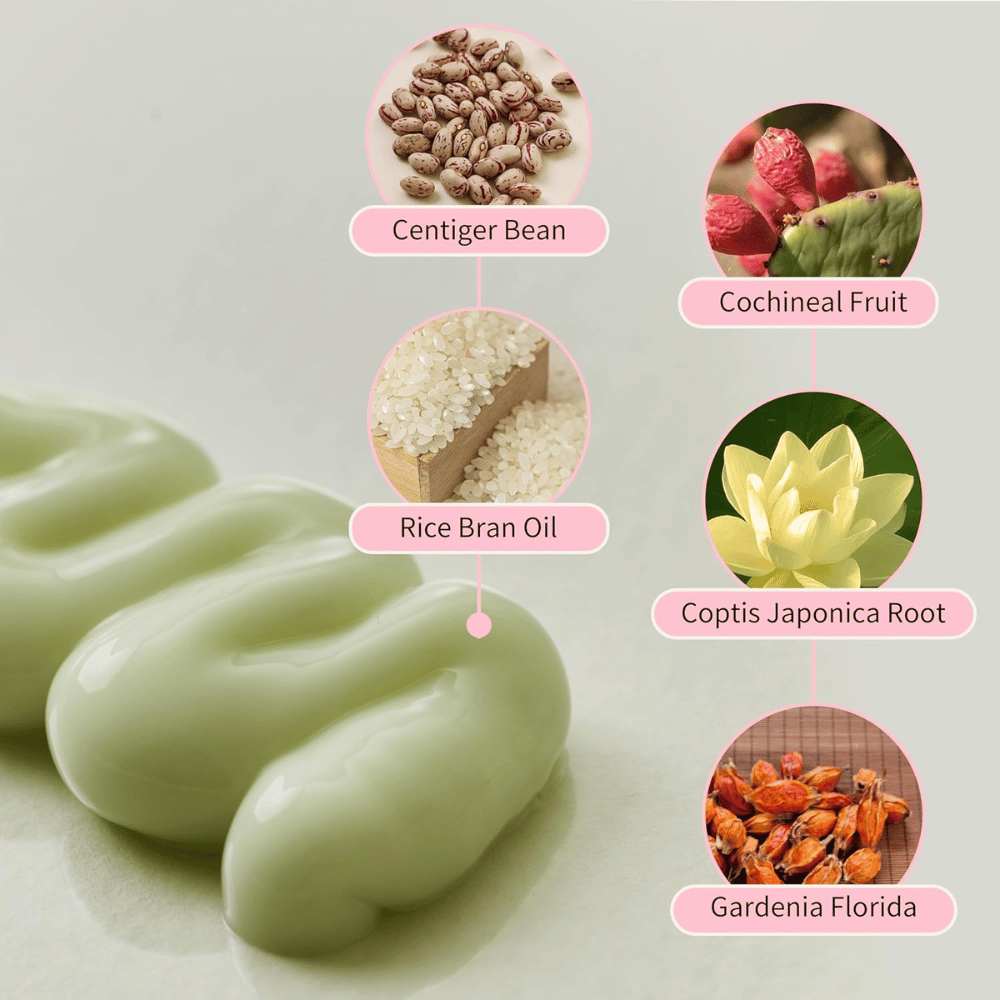Beauty of Joseon Jello Skin Massage Cream mit Niacinamid, Reiskleieöl, Gardenie, Coptis japonica und Pflanzenextrakten für hydratisierte Haut.