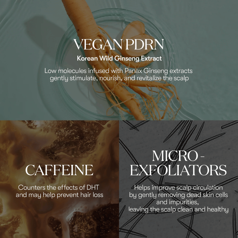 Illustration der aktiven Inhaltsstoffe in PDRN Reedle Shot Hair Ampoule 100dL mit veganem PDRN aus koreanischem Wildginseng, Koffein und Mikro-Exfoliatoren, die die Kopfhaut pflegen und revitalisieren.