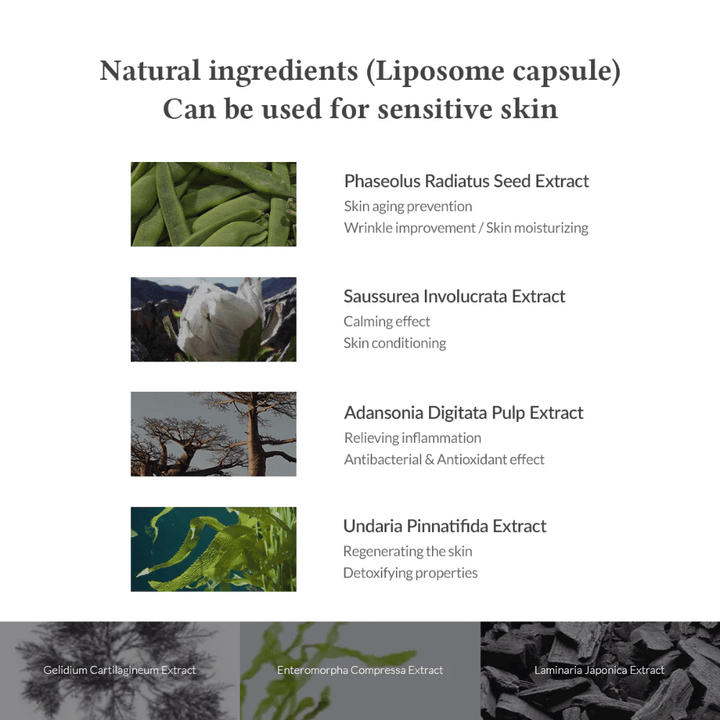 Dr. Althea Premium Quick Step Sebum Cleanser mit pflanzlichen Inhaltsstoffen wie Phaseolus Radiatus und Centella-ähnlichen Extrakten, die helfen, die Haut zu beruhigen, Entzündungen zu reduzieren und Feuchtigkeit zu spenden.