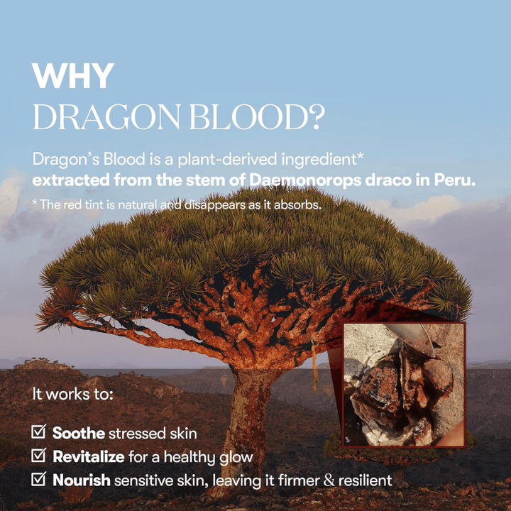 Illustration des Dragon’s Blood-Baumes (Daemonorops draco) in Peru, Zutat in VT Red Booster Reedle Shot 100, die gestresste Haut beruhigt, die Hautbarriere stärkt und einen frischen Glanz verleiht.