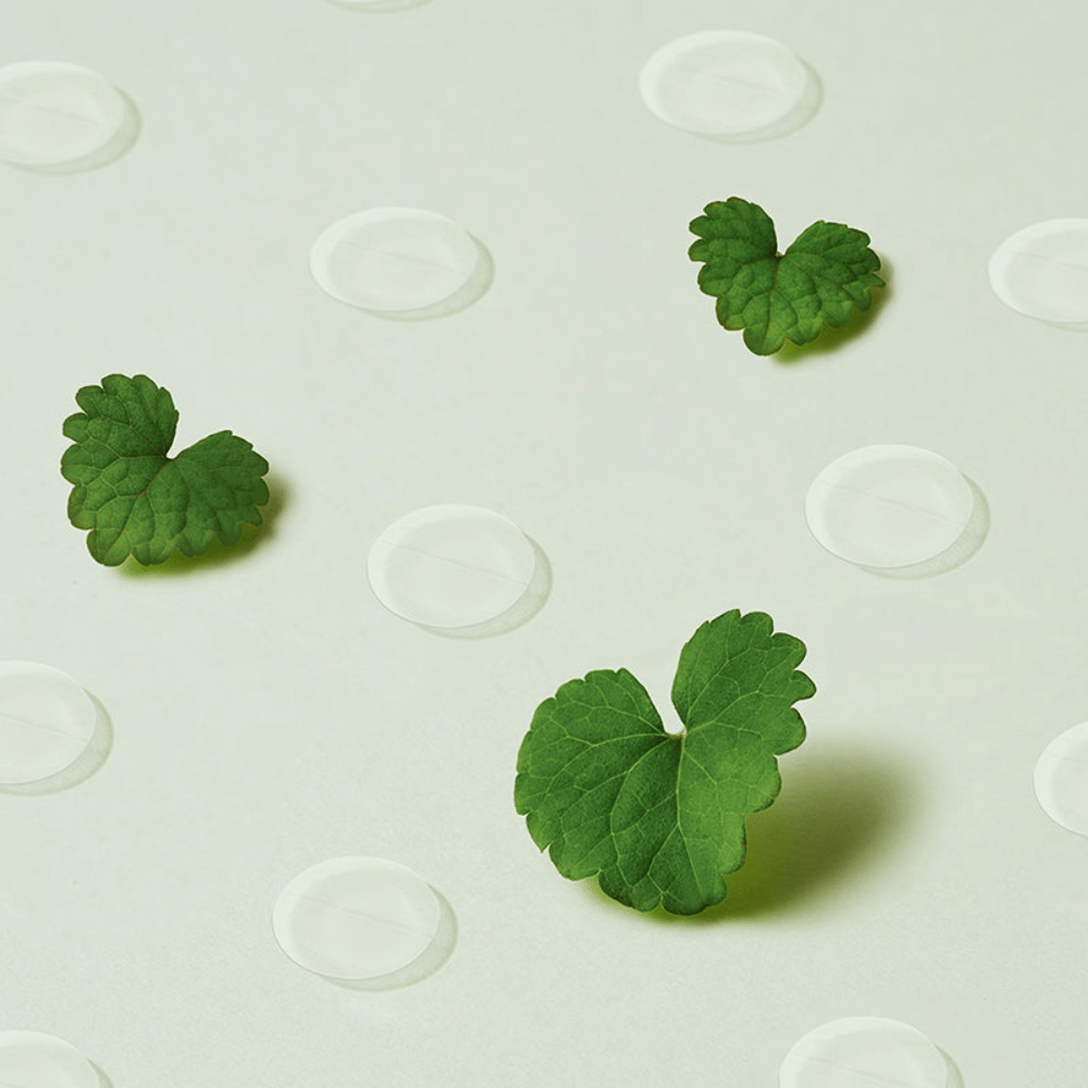 Transparente Spot-Patches zusammen mit Centella-Blättern, die Purito Wonder Releaf Centella Spot Patch und ihre beruhigende Wirkung auf entzündete und empfindliche Haut veranschaulichen.